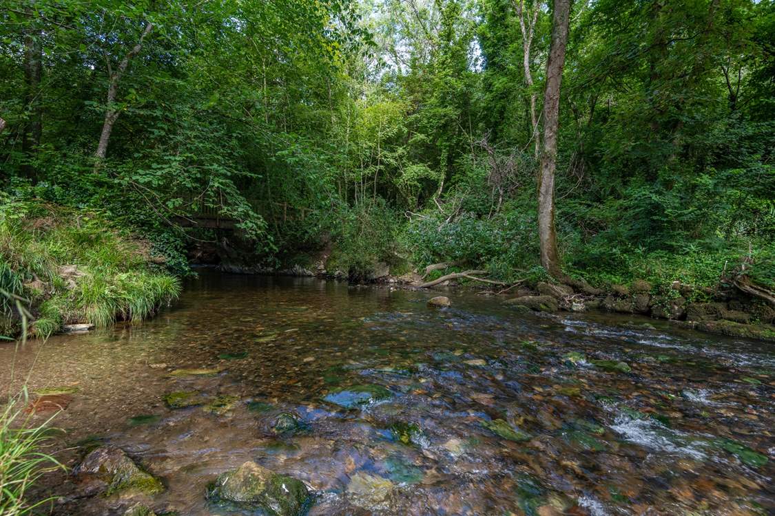 Cool down with a paddle in the crystal clear waters of the river.