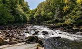 Stunning river Dart. - Thumbnail Image