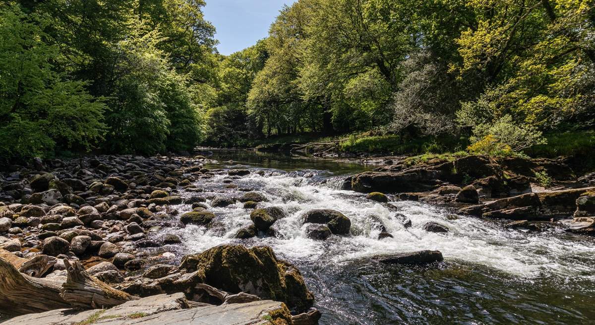 Stunning river Dart.