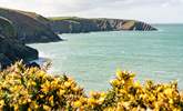 The stunning coves of Aber Draw. 
There are over 15 beautiful beaches within easy reach of the cottage. - Thumbnail Image