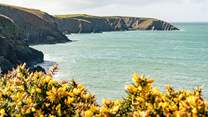 The stunning coves of Aber Draw. 
There are over 15 beautiful beaches within easy reach of the cottage.