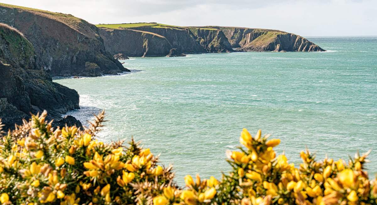 The stunning coves of Aber Draw. 
There are over 15 beautiful beaches within easy reach of the cottage.