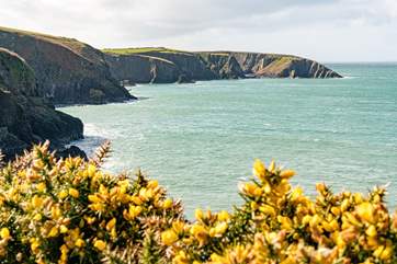 The stunning coves of Aber Draw.
There are over 15 beautiful beaches within easy reach of the cottage.