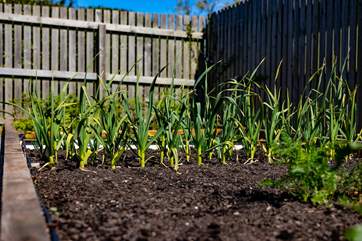 The veg patch is also stocked and ready for you to enjoy!