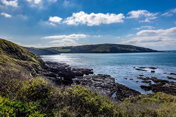 The south Devon coast offers hidden coves and miles and miles of beautiful walks!