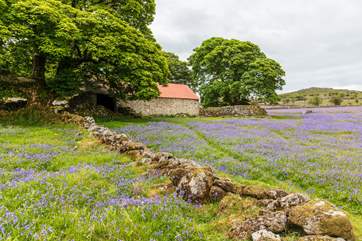 Dartmoor is a lovely place to explore.