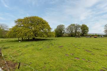 The surrounding countryside is a joy.