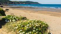 Bude is calling.