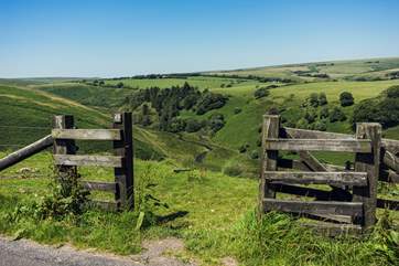 The wilds of Exmoor waiting to be discovered.