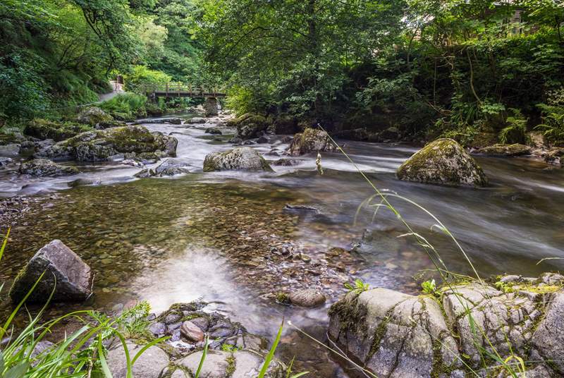 Discover some beautiful spots like Lymouth Watersmeet.