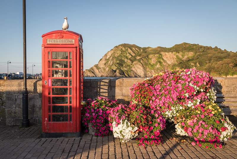Ilfracombe is a busy harbourside town with lots to offer.