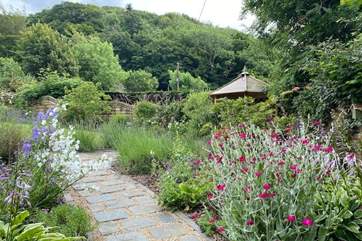Wander through the garden and delight at the beautiful flowers and shrubs.