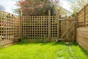 A small lawn for your enjoyment.
