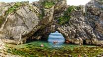 The geology of this coastline is spectacular - and you can walk to it from Halcyon Cottage!