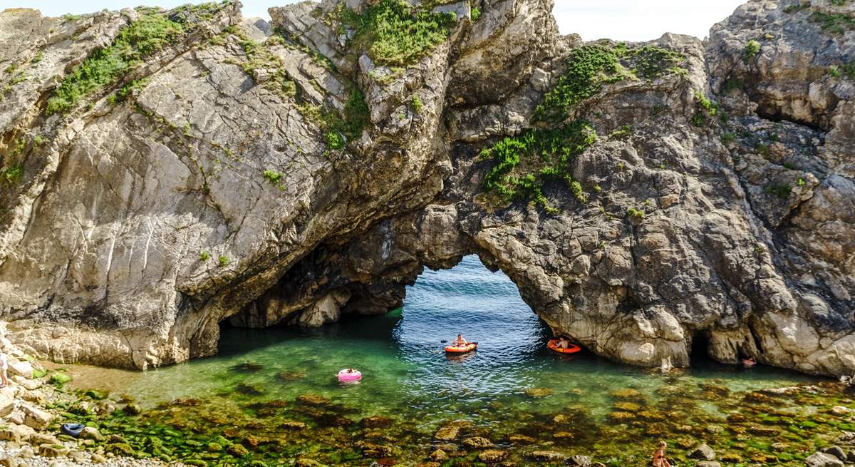 The geology of this coastline is spectacular - and you can walk to it from Halcyon Cottage!