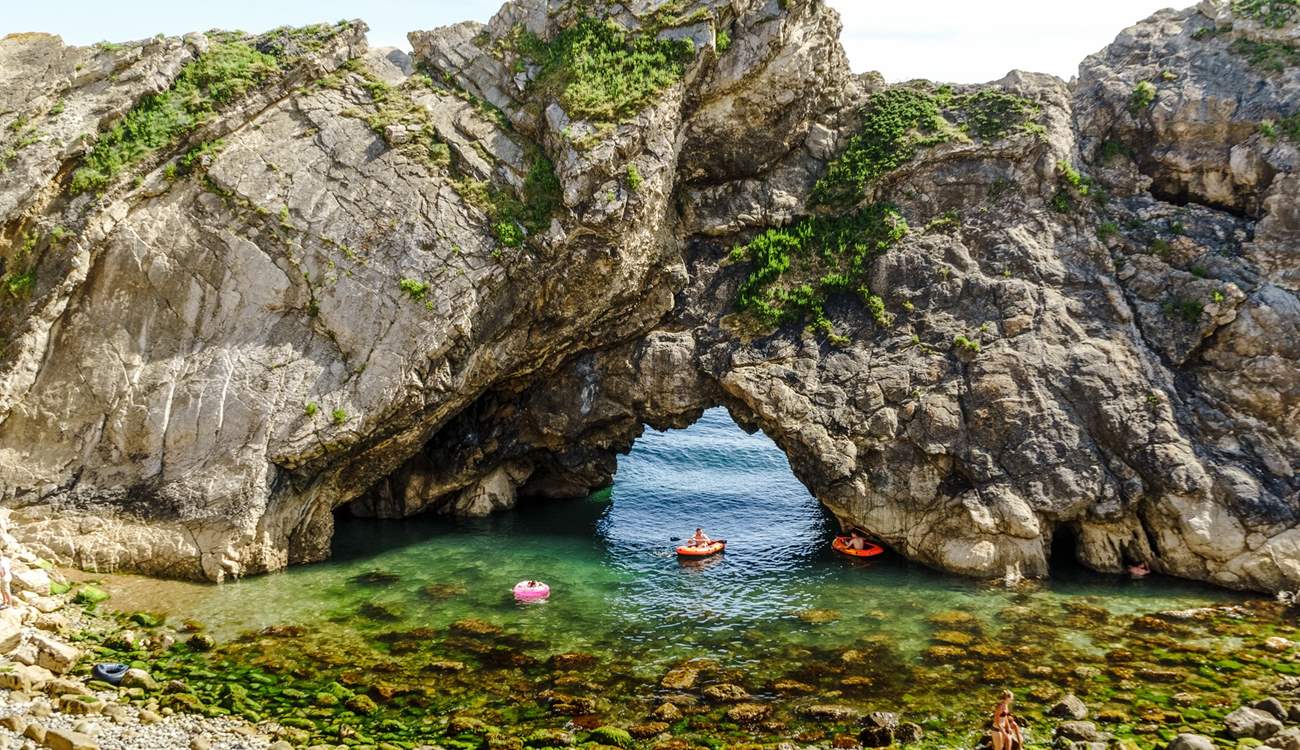 The geology of this coastline is spectacular - and you can walk to it from Halcyon Cottage!
