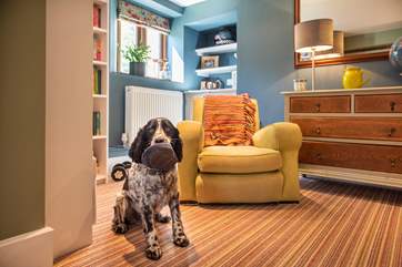 Your four-legged friends are most welcome.