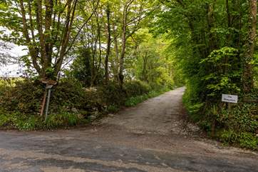 The wooded lane to Willow House.