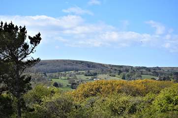 ... and take in breathtaking views while enjoying each others company.