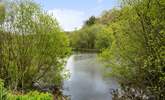 Take an evening stroll around the lakes and for the fishermen amongst you don't forget your rods. - Thumbnail Image