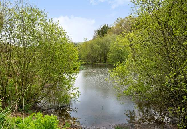 Take an evening stroll around the lakes and for the fishermen amongst you don't forget your rods.