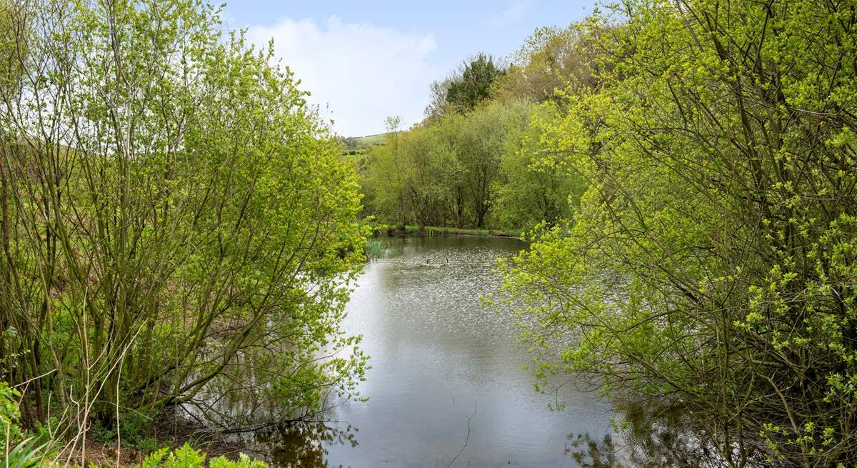 Take an evening stroll around the lakes and for the fishermen amongst you don't forget your rods.