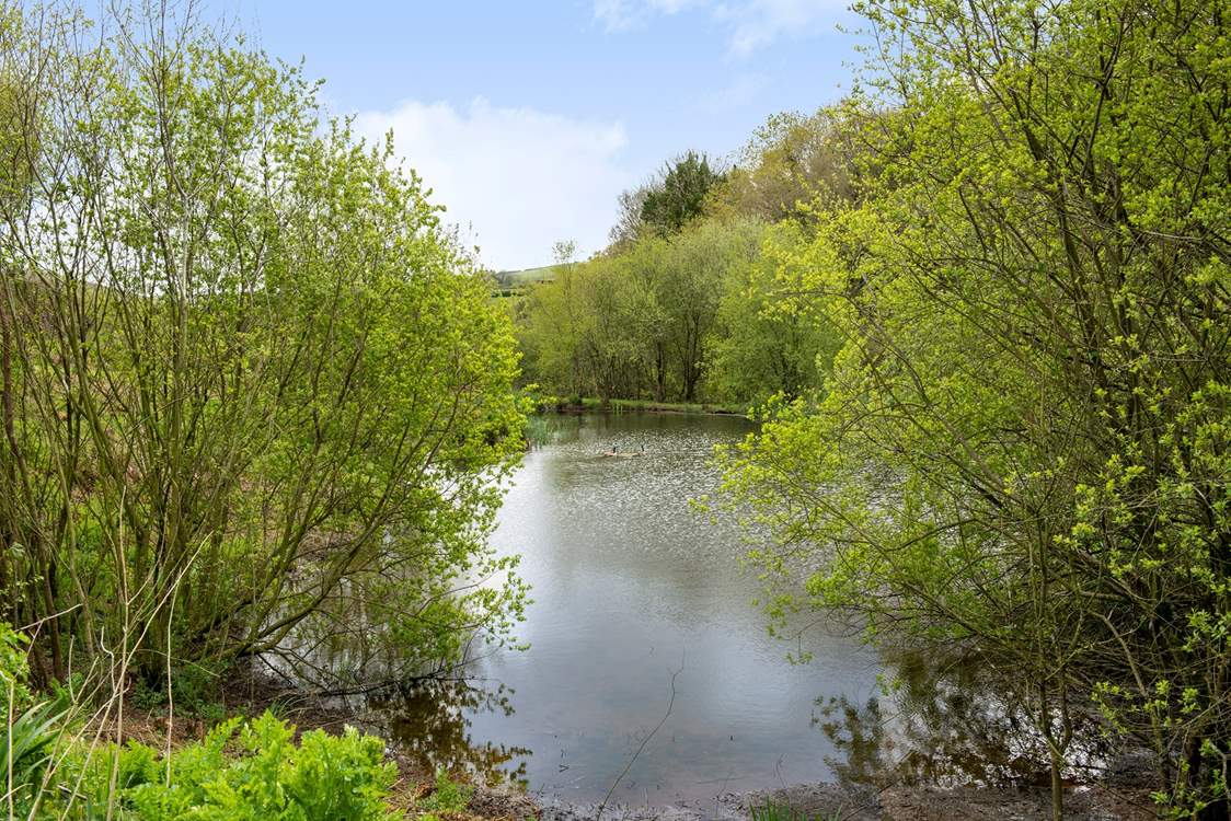 Take an evening stroll around the lakes and for the fishermen amongst you don't forget your rods.
