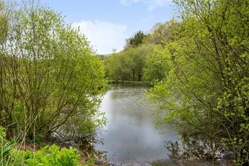 Take an evening stroll around the lakes and for the fishermen amongst you don't forget your rods.