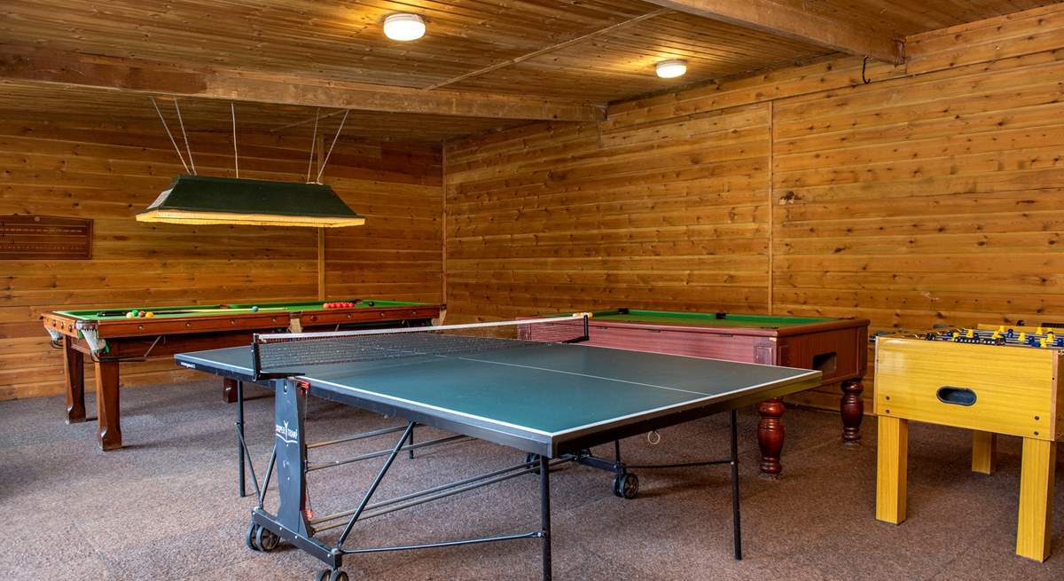 This is one impressive games-room - shall we have a game of table-tennis today?