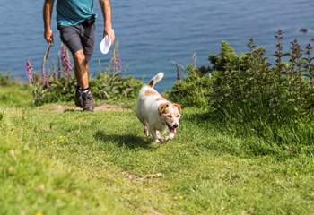 Your canine companion is welcome to join you.