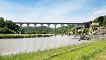 Hire a canoe or kayak and discover all the delights along the River Tamar.