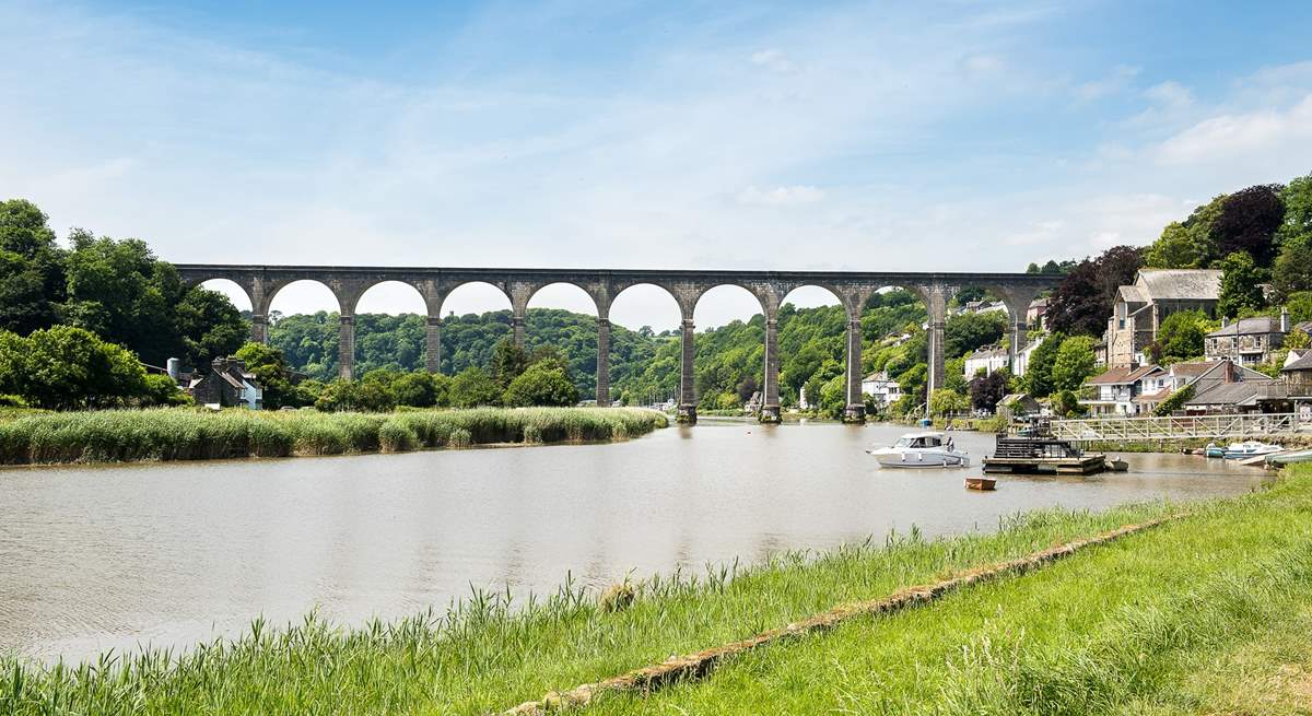 Hire a canoe or kayak and discover all the delights along the River Tamar.