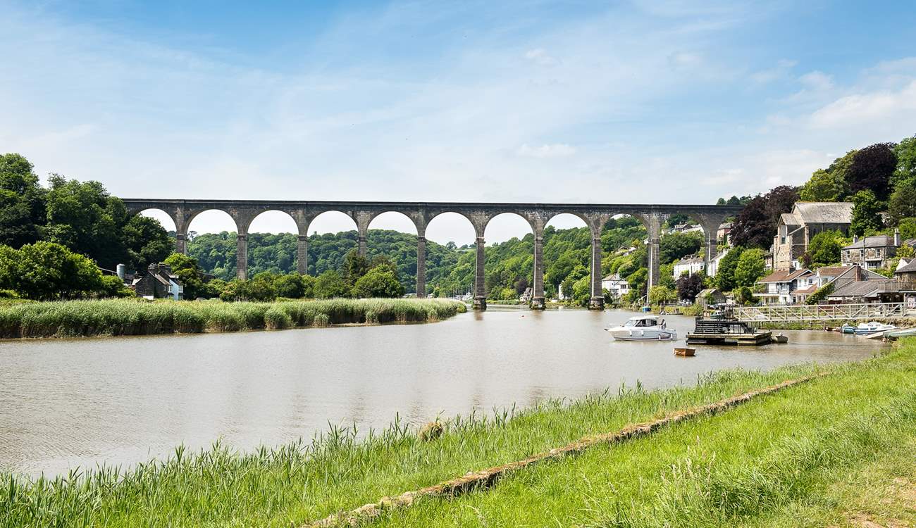 Hire a canoe or kayak and discover all the delights along the River Tamar.