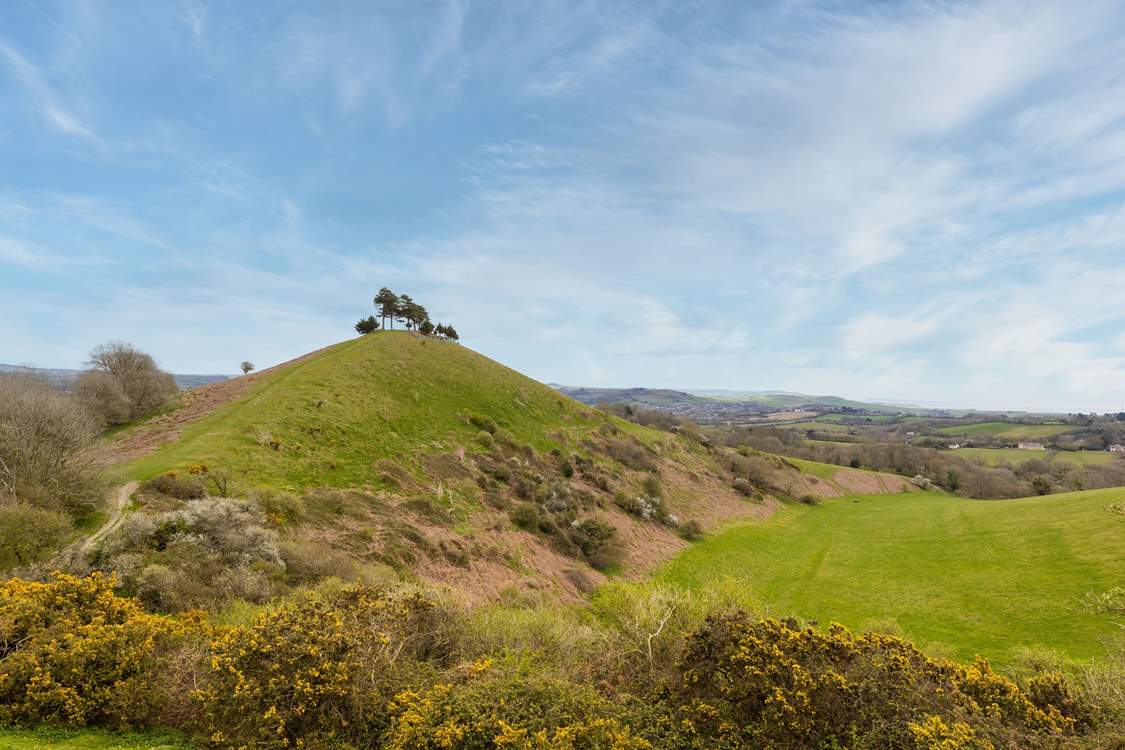The view at the top of nearby Colmer's Hill is well worth the walk.