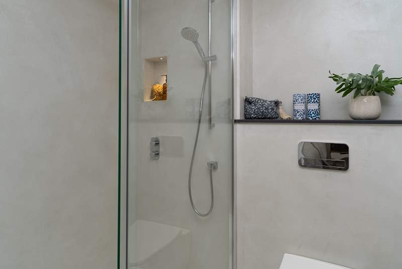 The luxurious en suite shower-room.