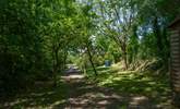 The garden is full of unspoilt greenery, which is typical of this area. All of the garden has now been fenced so it is enclosed. Please keep children away from the oil tank and wood store. - Thumbnail Image