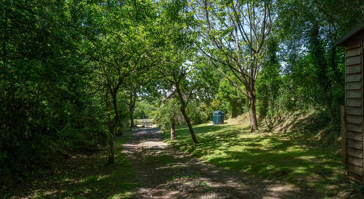 The garden is full of unspoilt greenery, which is typical of this area. All of the garden has now been fenced so it is enclosed. Please keep children away from the oil tank and wood store.