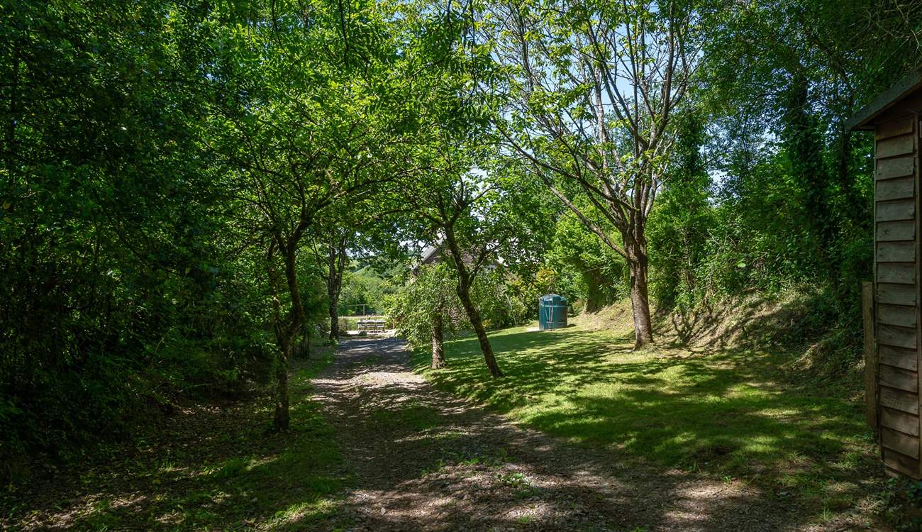 The garden is full of unspoilt greenery, which is typical of this area. All of the garden has now been fenced so it is enclosed. Please keep children away from the oil tank and wood store.