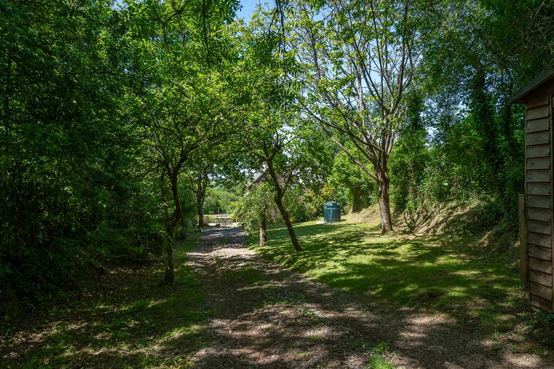 The garden is full of unspoilt greenery, which is typical of this area. All of the garden has now been fenced so it is enclosed. Please keep children away from the oil tank and wood store.
