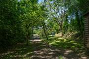 The garden is full of unspoilt greenery, which is typical of this area. All of the garden has now been fenced so it is enclosed. Please keep children away from the oil tank and wood store.