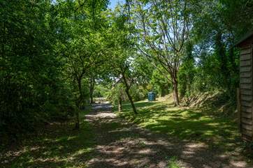 The garden is full of unspoilt greenery, which is typical of this area. All of the garden has now been fenced so it is enclosed. Please keep children away from the oil tank and wood store.