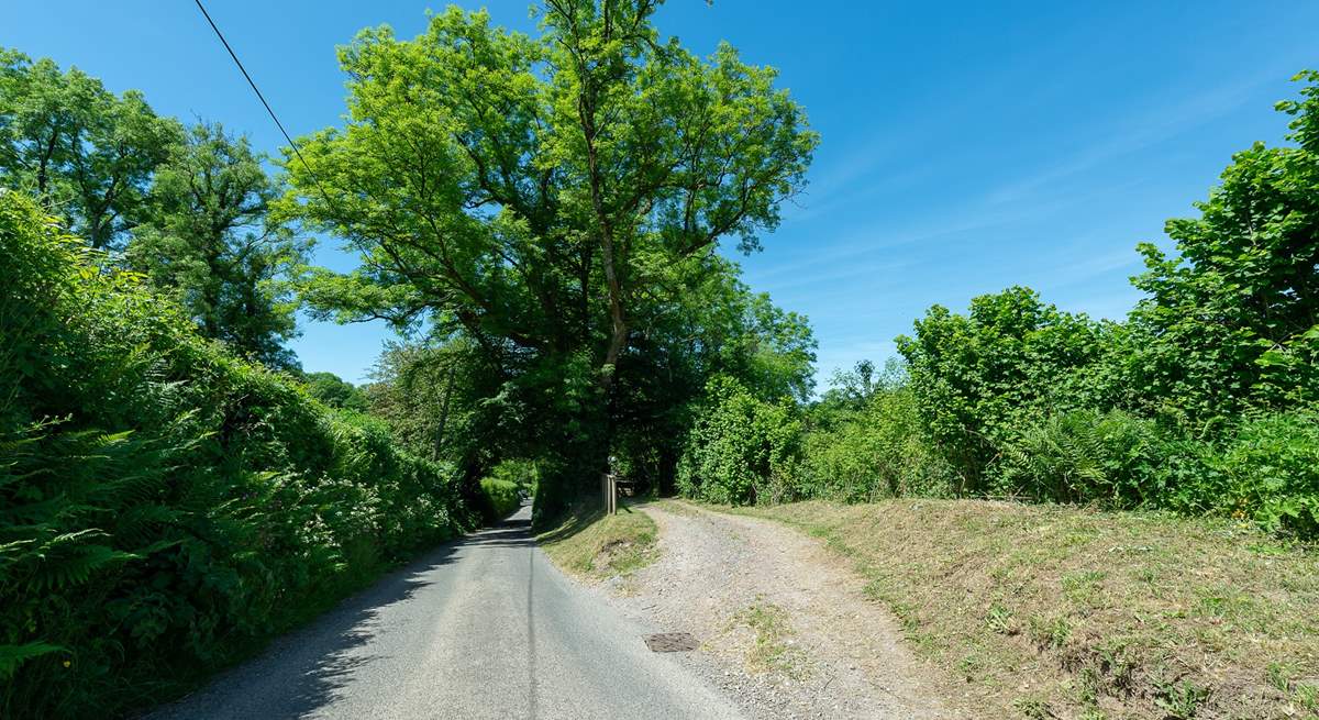 This is the driveway entrance from the road. Your holiday awaits!