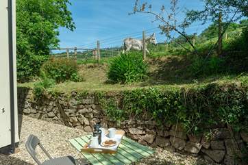 A sweet spot for a morning coffee.