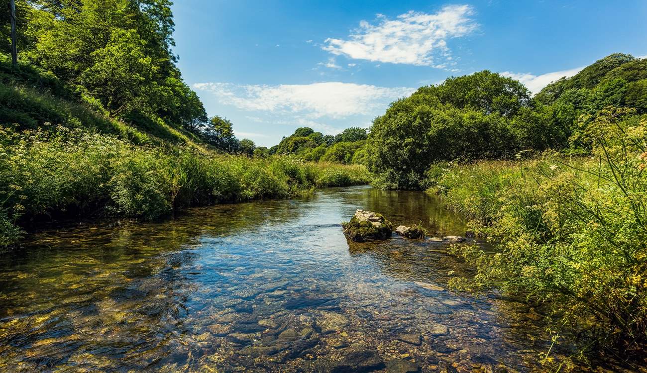 Pack up a picnic and go paddling in the River Barle.