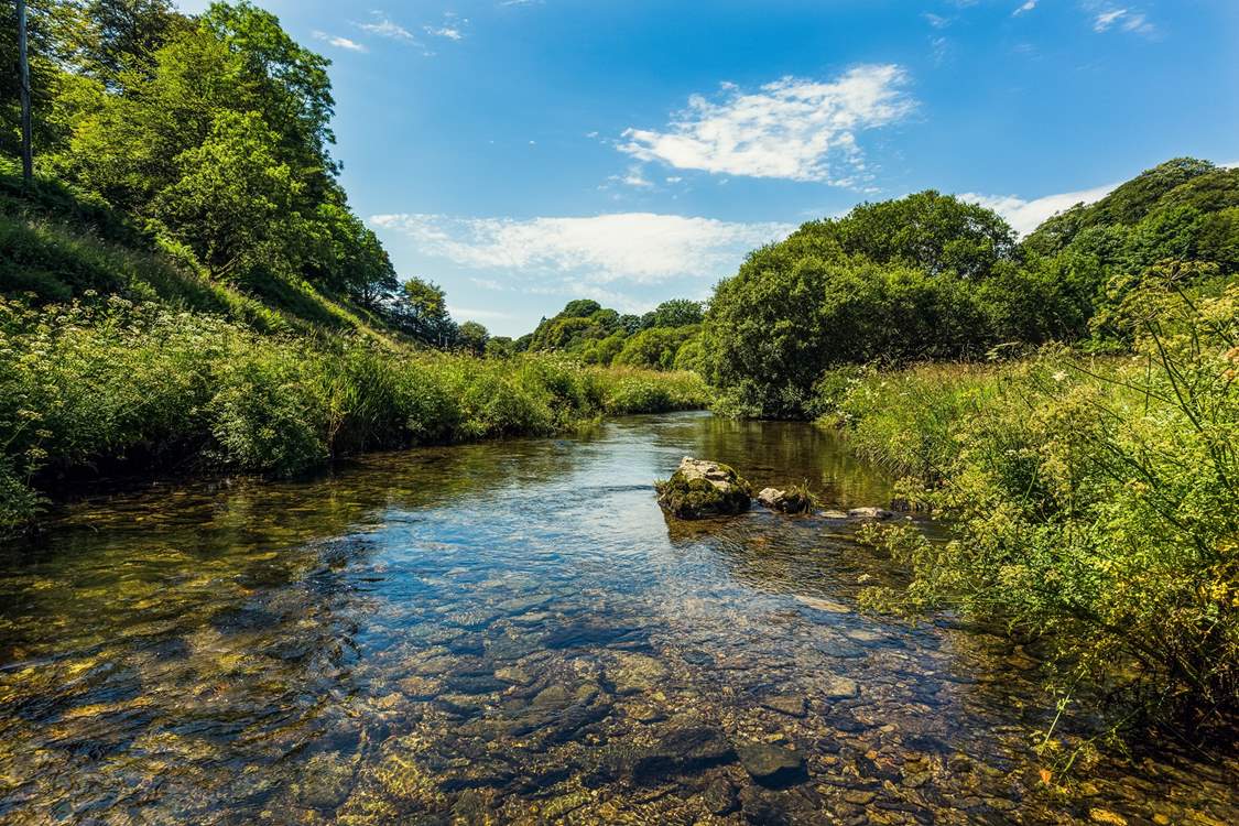 Pack up a picnic and go paddling in the River Barle.