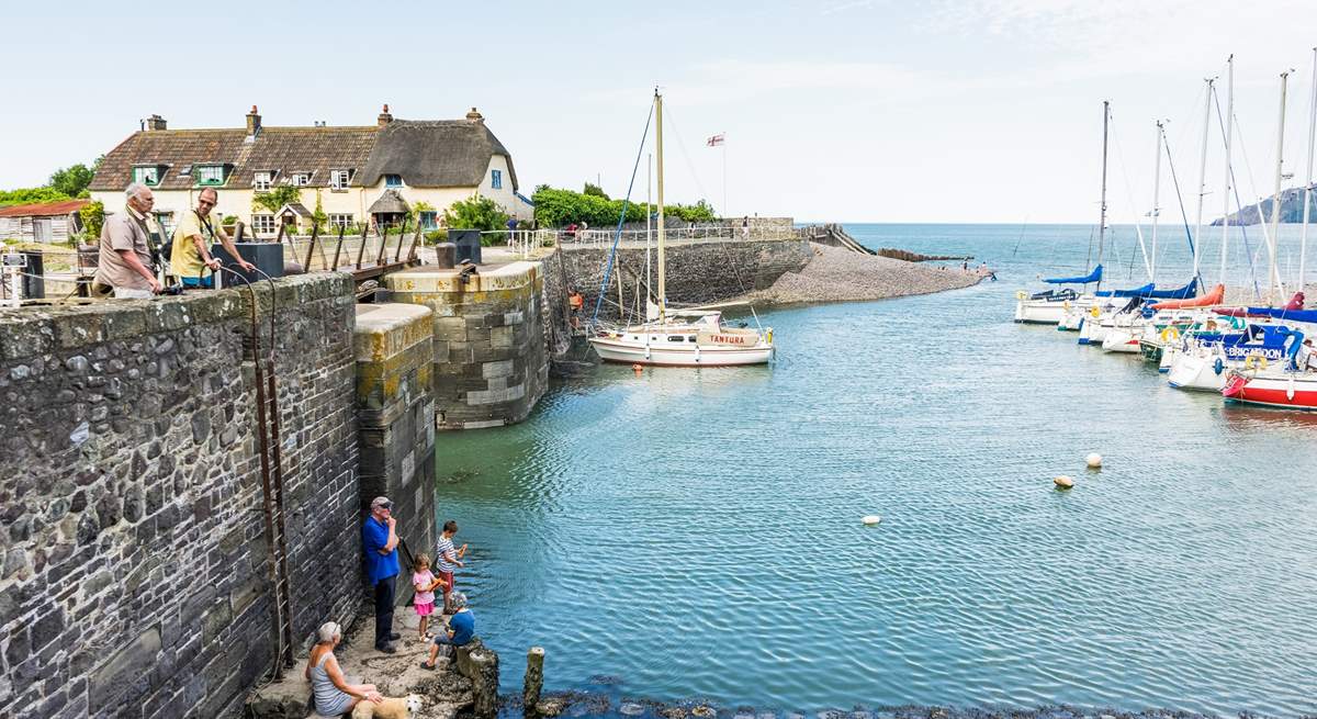 Forty five minutes in the car will bring you to Porlock Weir and the start of the South West Coast Path.