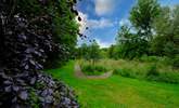 Wander around the meadow in the community field. - Thumbnail Image