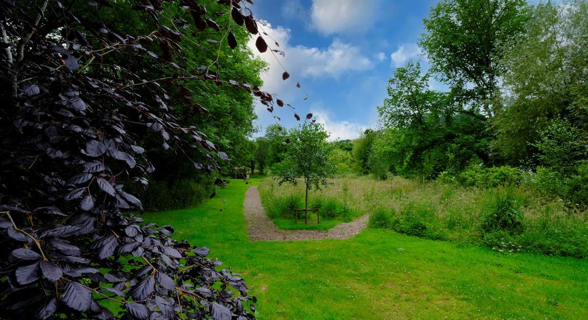 Wander around the meadow in the community field.