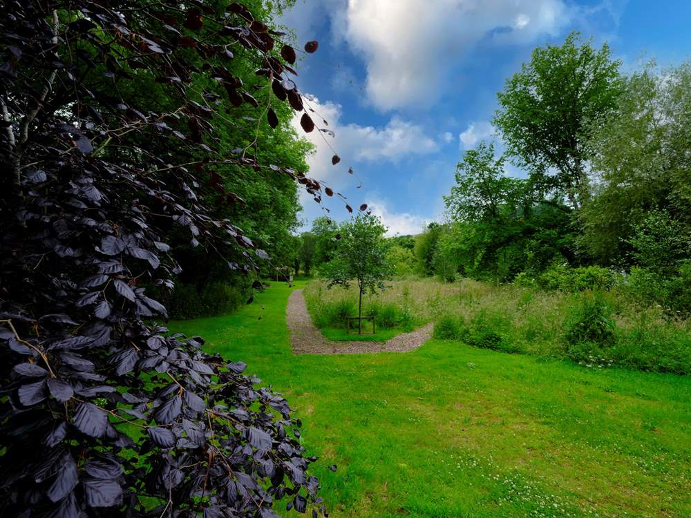 Wander around the meadow in the community field.
