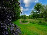 Wander around the meadow in the community field.
